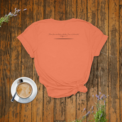 It Is Well With My Soul Mountains T-Shirt | Philippians 4:11